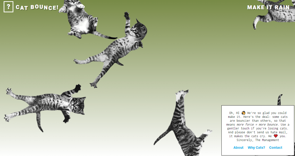 funny cat bounce weird website